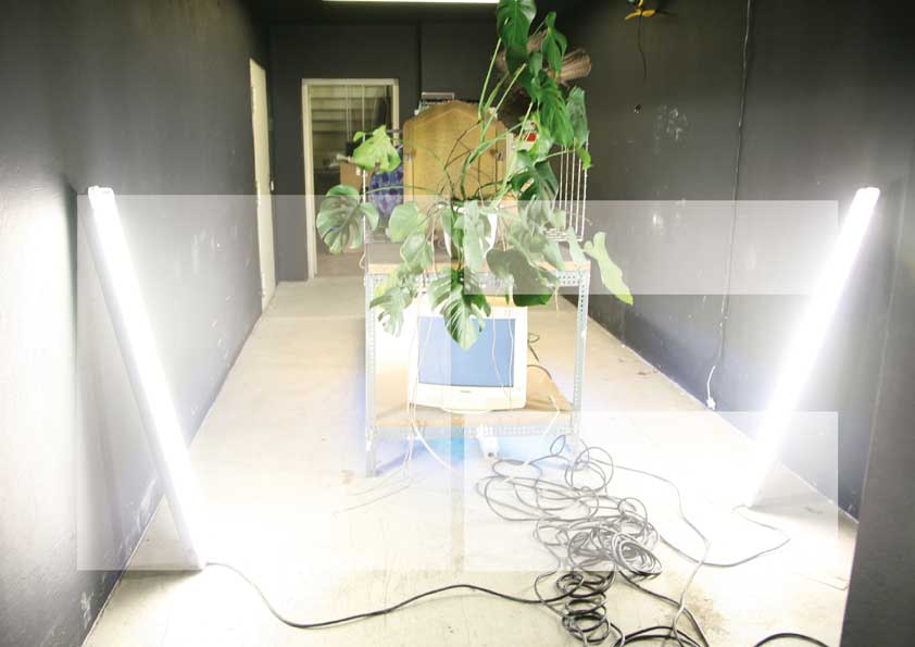 nature's fury installation